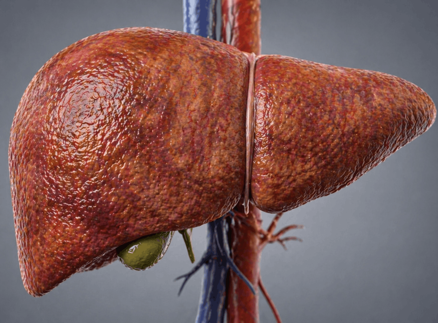 Autoimmun Hepatitinin əlamətləri və müalicəsi